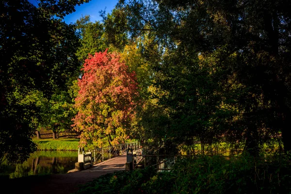 Bellissimo Parco Estivo Natura Viaggi — Foto Stock