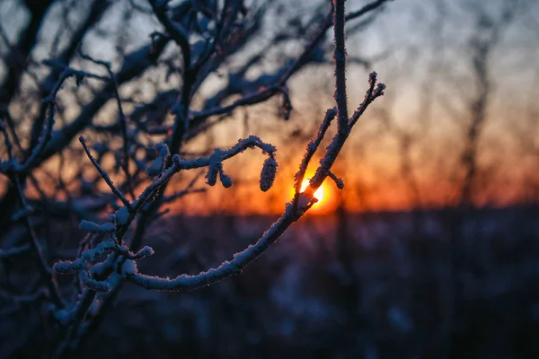 Güzel Günbatımı Manzara Turuncu Gökyüzü — Stok fotoğraf