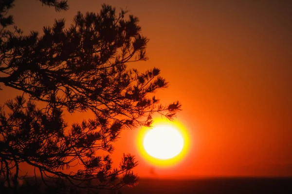 Bela Paisagem Pôr Sol Céu Laranja — Fotografia de Stock