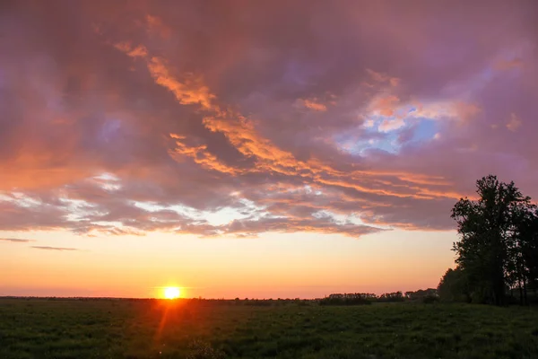 Landschaft Außerhalb Der Stadt Wiese Und Blauer Himmel Sonnenuntergang Über — Stockfoto