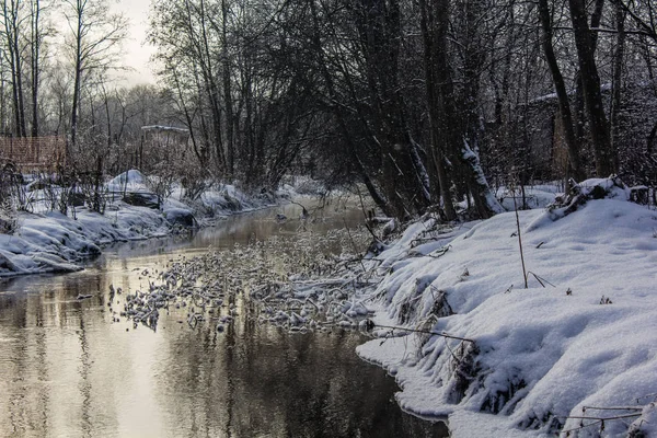 Paisagem Parque Inverno Com Rio Paisagens Russas Temporada Inverno Estação — Fotografia de Stock