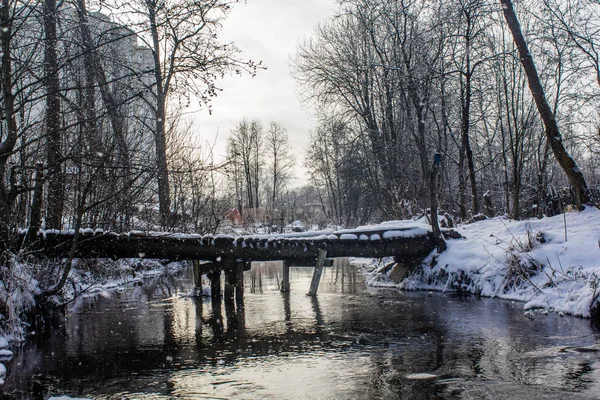 Paisagem Parque Inverno Com Rio Paisagens Russas Temporada Inverno Estação — Fotografia de Stock
