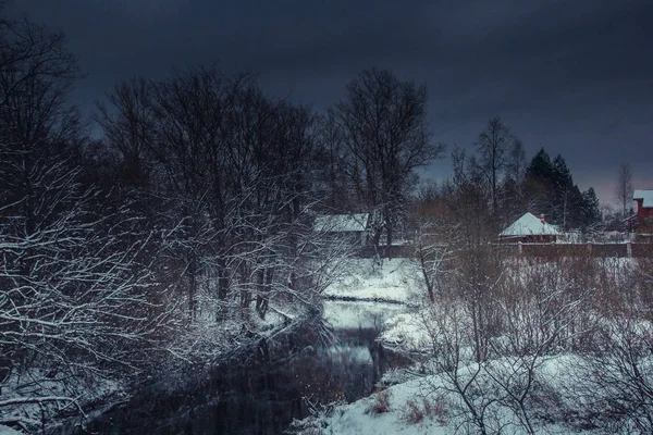 川と冬の公園の風景 ロシアの風景 冬の季節 寒い季節 雪の画像 — ストック写真