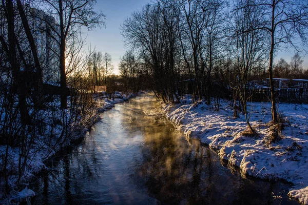 Park Zimowy Krajobraz Rzeką Rosyjski Krajobrazy Sezon Zimowy Zimnej Pory — Zdjęcie stockowe
