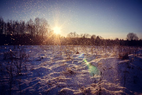 Paisagem Inverno Tempo Claro — Fotografia de Stock