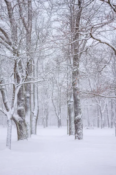 Winter landscape in clear weather.