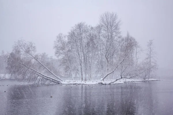 Winter landscape in clear weather.