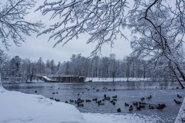 Kış manzarası açık havada.