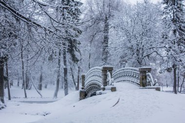 Kış manzarası açık havada.
