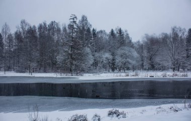 Winter park, yatay bir nehir. Rus manzaralar. Kış sezonu, soğuk sezon. Kar resim