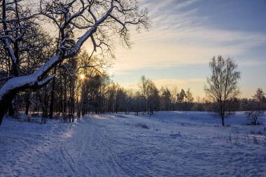 Kış manzarası açık havada.