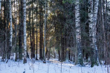 Kış manzarası açık havada.