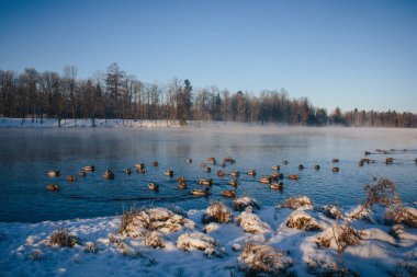 Kış manzarası açık havada.