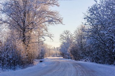 Kış manzarası açık havada.