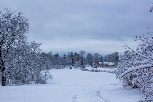 Winterlandschap Helder Weer — Stockfoto