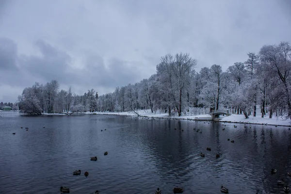 Winter landscape in clear weather.