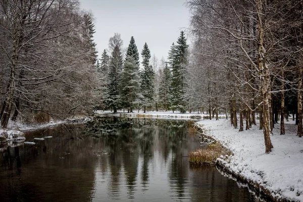 Zima Krajobraz Dobrą Pogodę — Zdjęcie stockowe