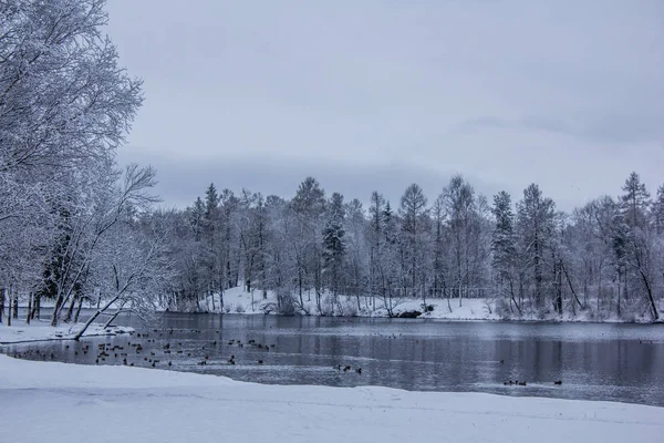 Winterlandschap Helder Weer — Stockfoto
