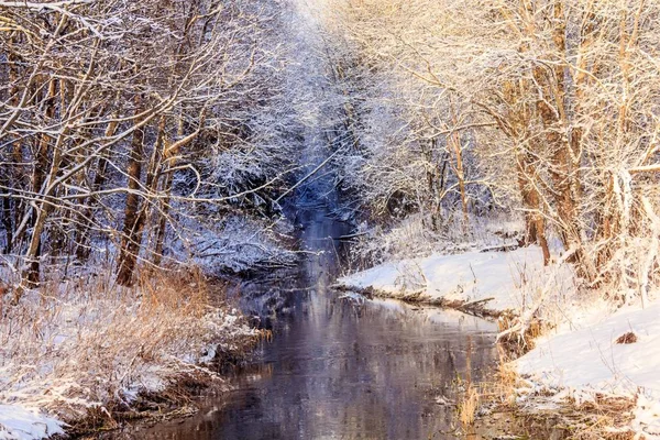 晴朗天气下的冬季景观 — 图库照片