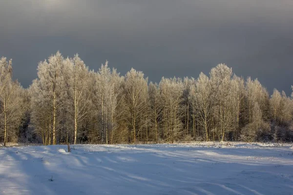 Paesaggio Invernale Con Tempo Limpido — Foto Stock