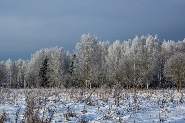 Paesaggio Invernale Con Tempo Limpido — Foto Stock