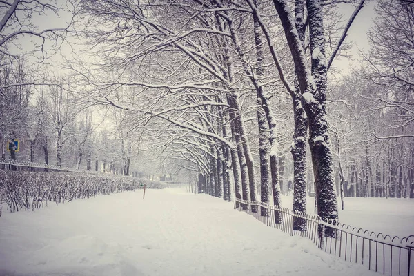 Winter landscape in clear weather.