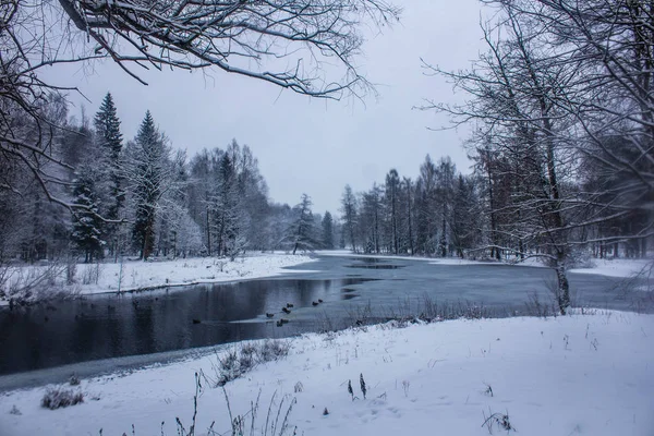 Paisagem Parque Inverno Com Rio Paisagens Russas Temporada Inverno Estação — Fotografia de Stock