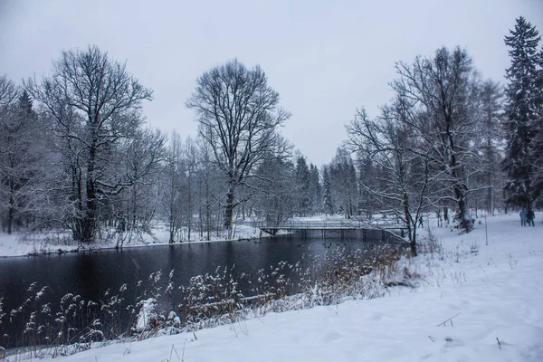 Winter Parklandschap Met Een Rivier Russische Landschappen Winterseizoen Koude Seizoen — Stockfoto