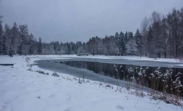 Paisagem Parque Inverno Com Rio Paisagens Russas Temporada Inverno Estação — Fotografia de Stock