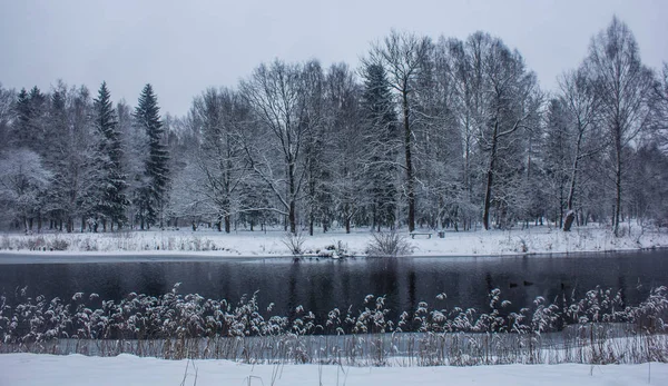 Winterliche Parklandschaft Mit Fluss Russische Landschaften Winterzeit Kalte Jahreszeit Schneebild — Stockfoto