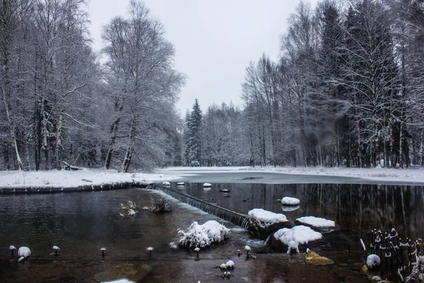 Winter Park Landscape River Russian Landscapes Winter Season Cold Season — Stock Photo, Image