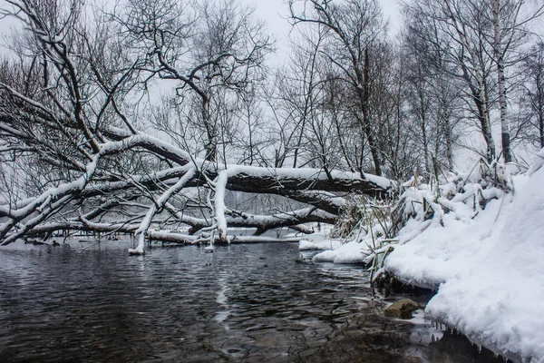 Paisagem Parque Inverno Com Rio Paisagens Russas Temporada Inverno Estação — Fotografia de Stock