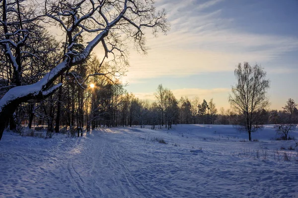 Paisagem Inverno Tempo Claro — Fotografia de Stock