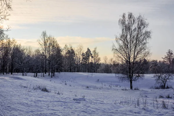 Paesaggio Invernale Con Tempo Limpido — Foto Stock