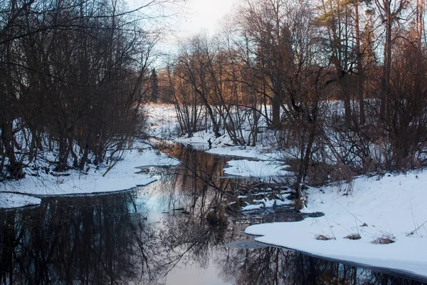 Взимку Парк Краєвид Річка Російський Пейзажі Зимовий Сезон Холодну Пору — стокове фото