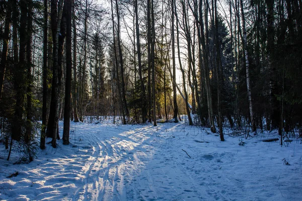 Kış manzarası açık havada.