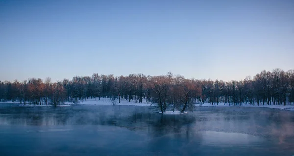 Paisagem Inverno Tempo Claro — Fotografia de Stock