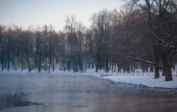 Winter landscape in clear weather.