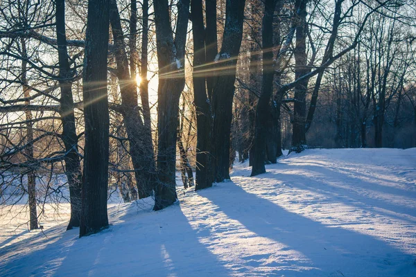 Winterlandschaft Bei Klarem Wetter — Stockfoto