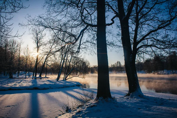 Paisagem Inverno Tempo Claro — Fotografia de Stock