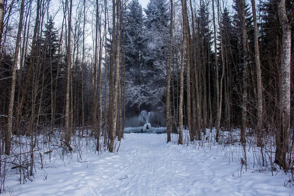 Paisaje Invernal Clima Claro — Foto de Stock