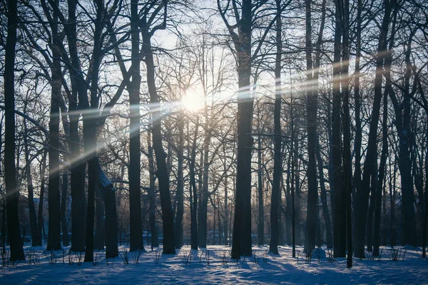 Paesaggio Invernale Con Tempo Limpido — Foto Stock