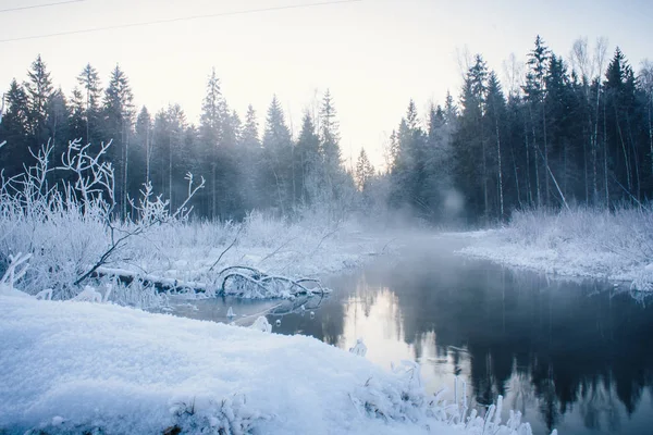 Winter Park Krajina Řeky Ruské Krajiny Zimní Období Chladné Období — Stock fotografie
