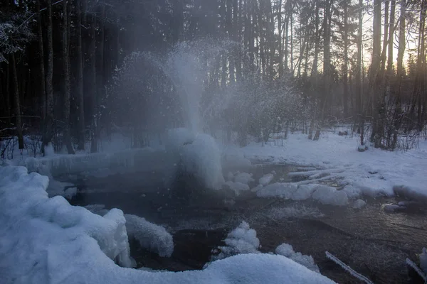 Geyser Gatchina Inverno Getto Acqua Dal Suolo Crescite Ghiaccio Dall — Foto Stock