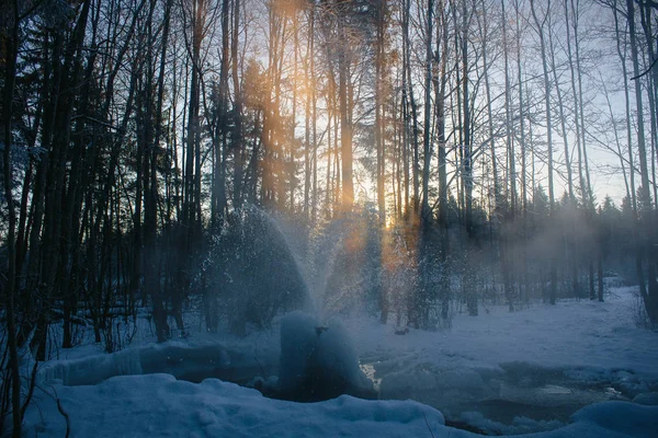 Geyser Gatchina Inverno Getto Acqua Dal Suolo Crescite Ghiaccio Dall — Foto Stock