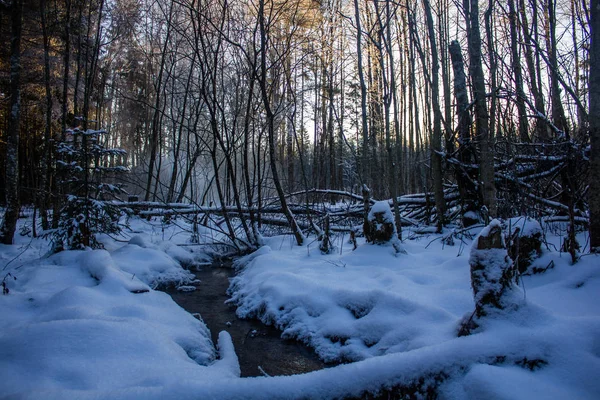 Winter Park Landscape River Russian Landscapes Winter Season Cold Season — Stock Photo, Image