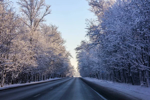 Winter Landscape Clear Weather — Stock Photo, Image