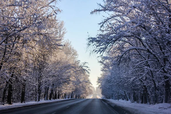 Winter Landscape Clear Weather — Stock Photo, Image