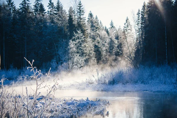 Winter Park Táj Egy Folyó Orosz Tájak Téli Szezonban Hideg — Stock Fotó