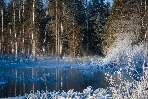 Parque Invierno Paisaje Con Río Paisajes Rusos Temporada Invierno Estación — Foto de Stock